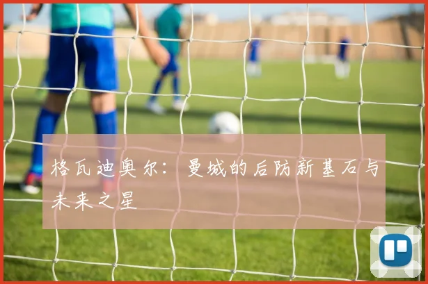 格瓦迪奥尔：曼城的后防新基石与未来之星